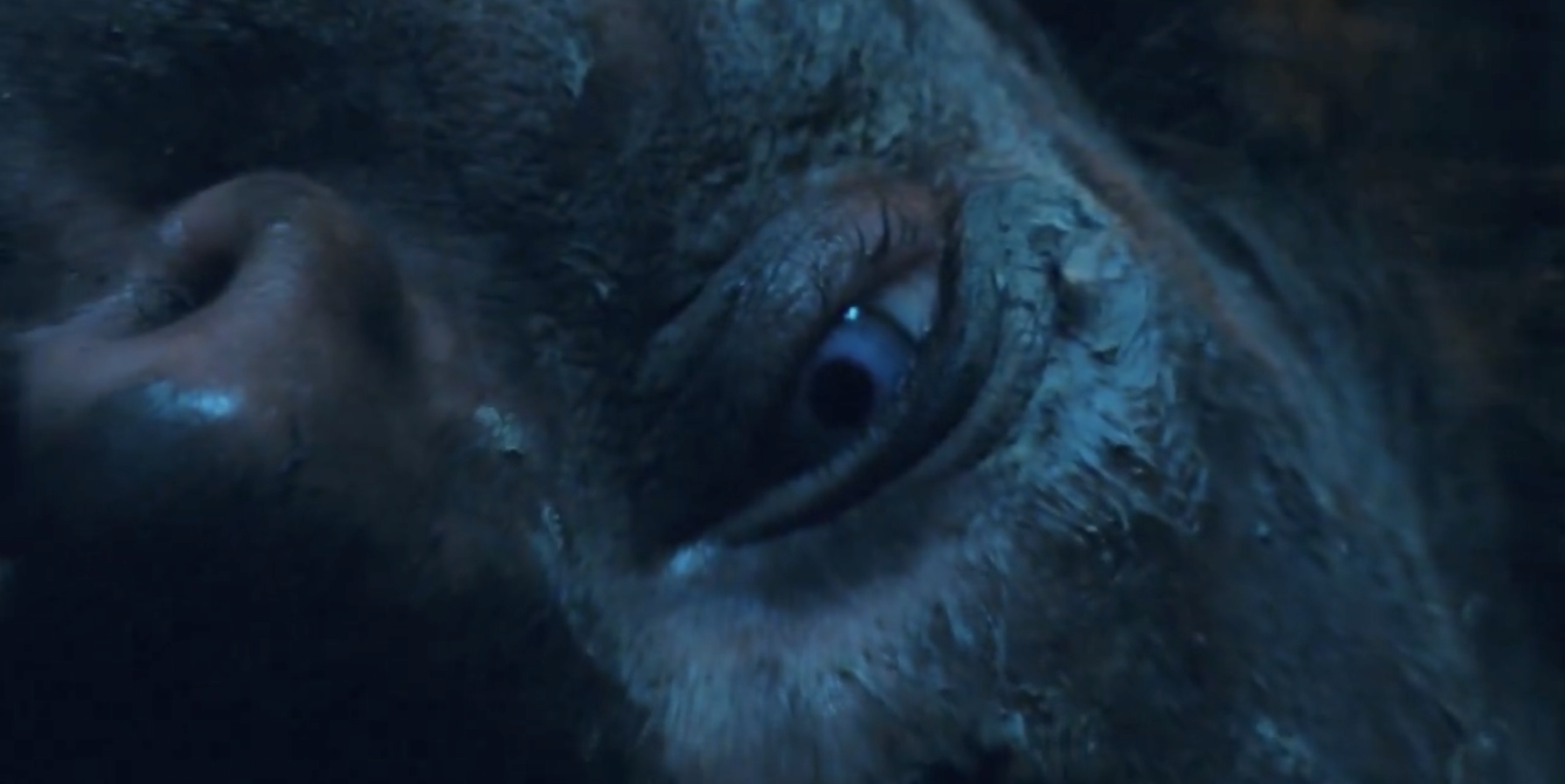 Suffer through emptiness in cryptic ‘Lestat’ teaser