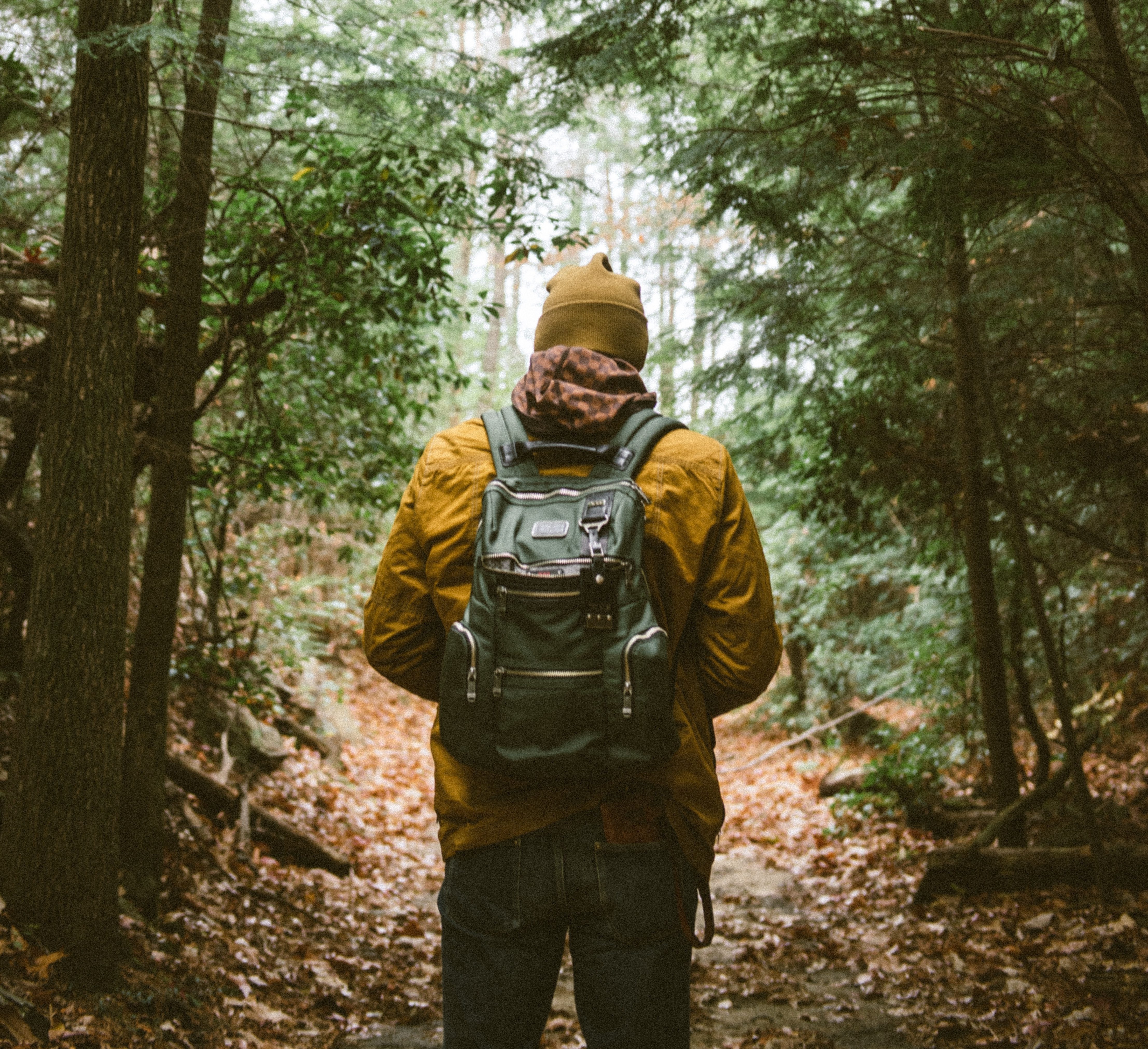 5 movies based on books about nature for Earth Day