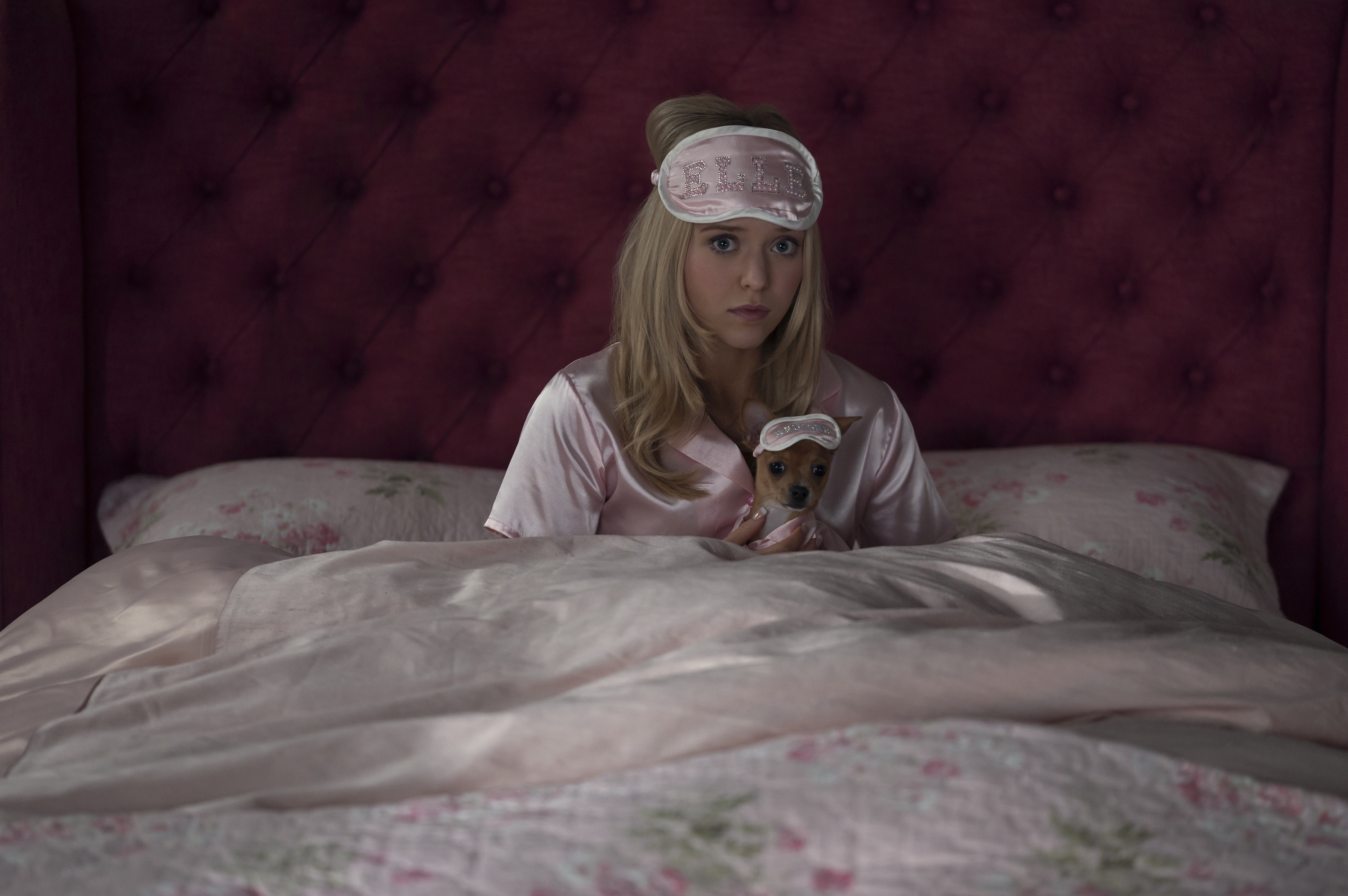 Elle and Bruiser move to Seattle in ‘Elle’ teaser
