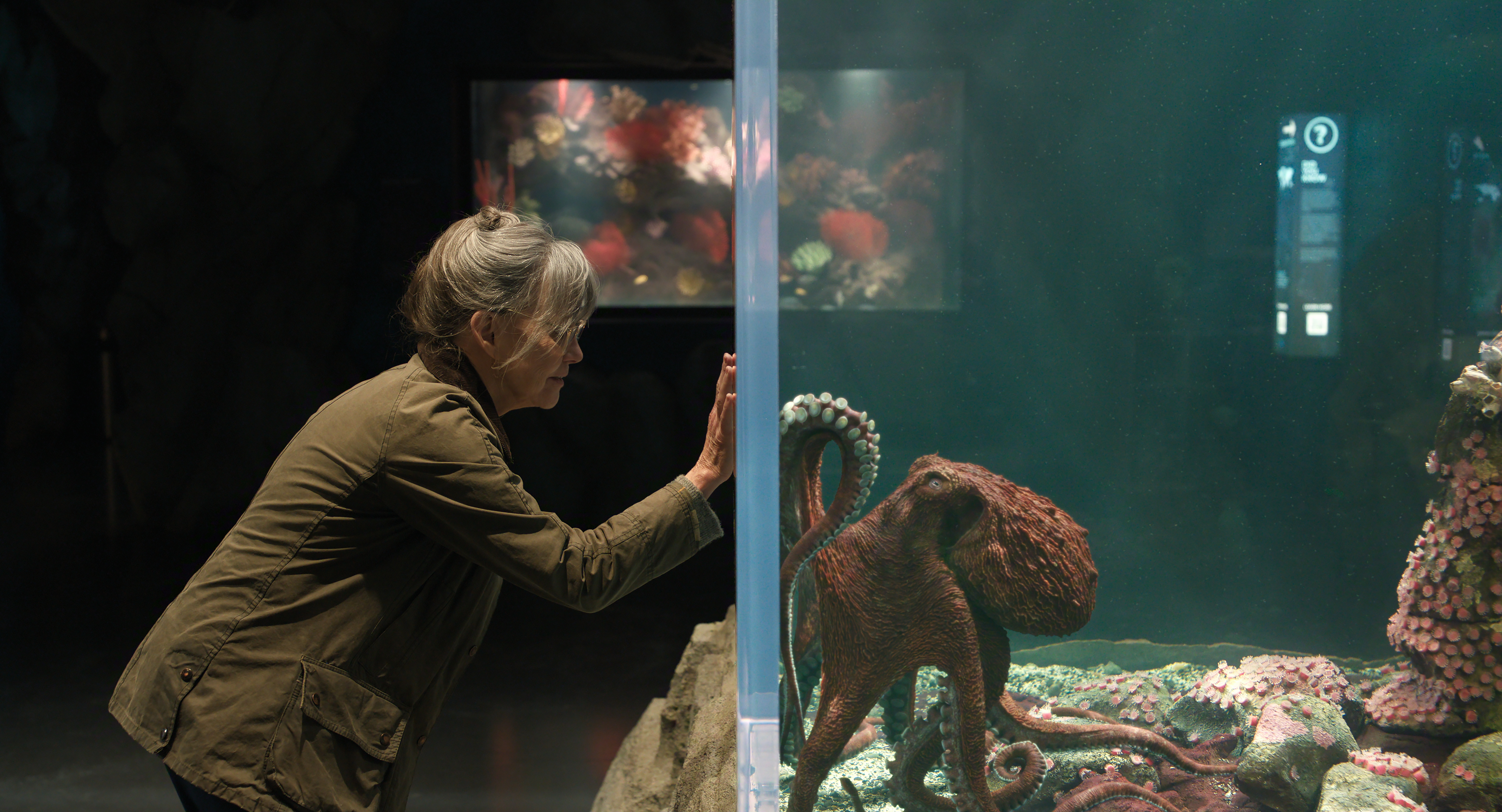 Coming to the screen: Week of May 4
