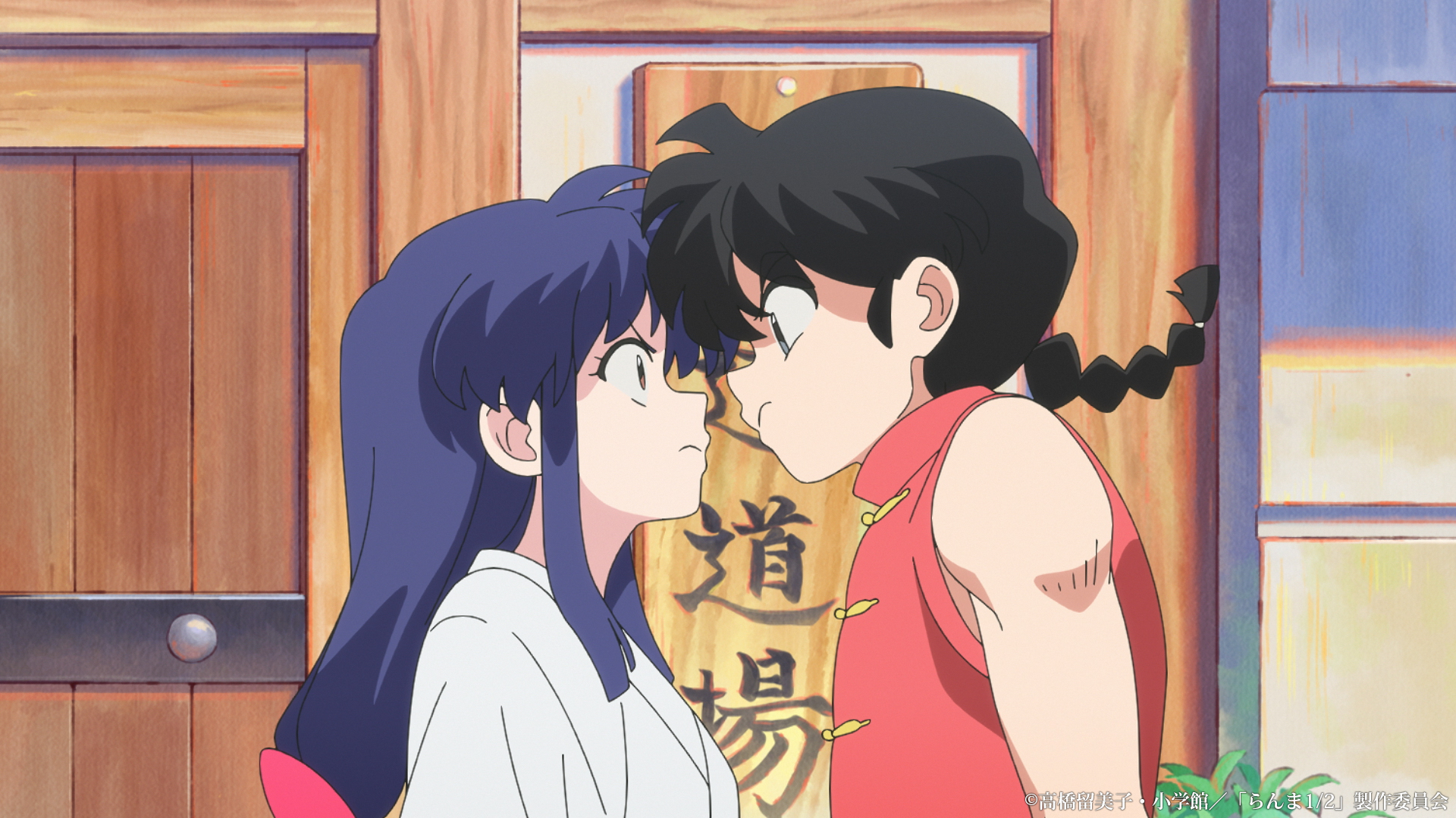Upcoming animated adaptations to watch: ‘Ranma 1/2,’ ‘Wildwood’ and more